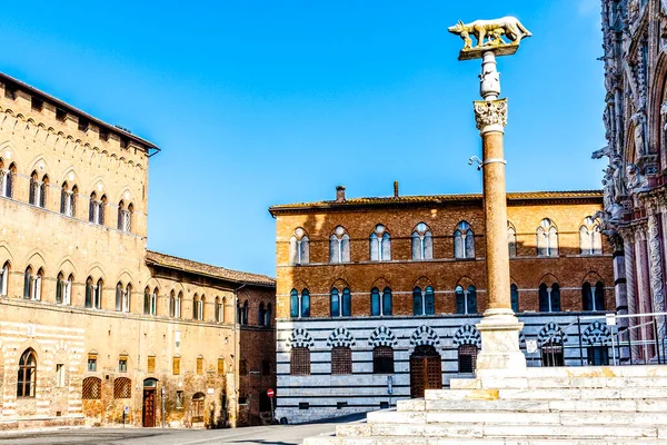 Column She Wolf Piazza Del Duomo Square Siena Tuscany Italy — Foto de Stock