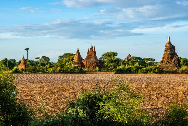 Scenery Old Stupa Old Bagan Myanmar Burma Asia — ストック写真