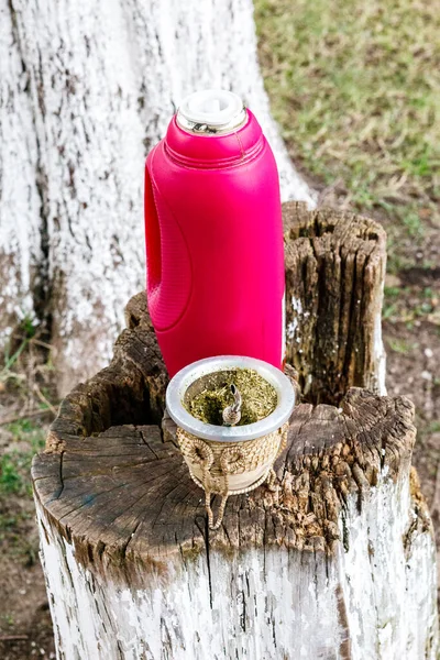 A mate cup with freh mate herbs and a bottle of hot water on a tree trunk in a park in Argentina, South America