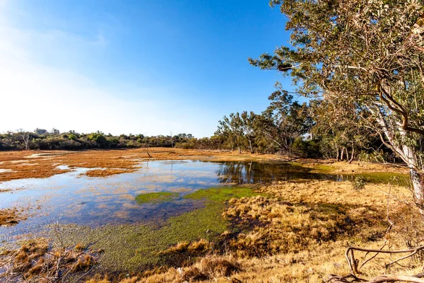 Landscape Entre Rios Villaguay Argentina South America — Stockfoto