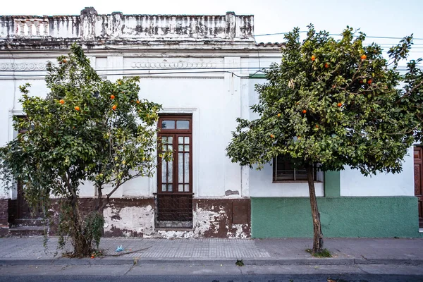 Vieille Maison Blanche Avec Orangers Salta Argentine Amérique Sud — Photo