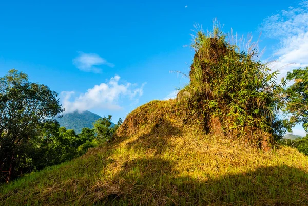 Alter Zerstörter Hindu Tempel Son Antikes Weltkulturerbe Hoi Vietnam Asien — Stockfoto