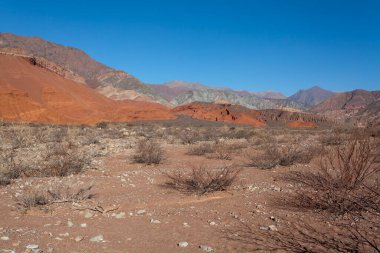Quebrada de Cafayate, Salta, Arjantin, Güney Amerika