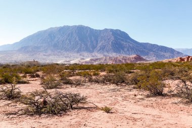 Quebrada de Cafayate, Salta, Arjantin, Güney Amerika 'daki kayalıklara bakın.