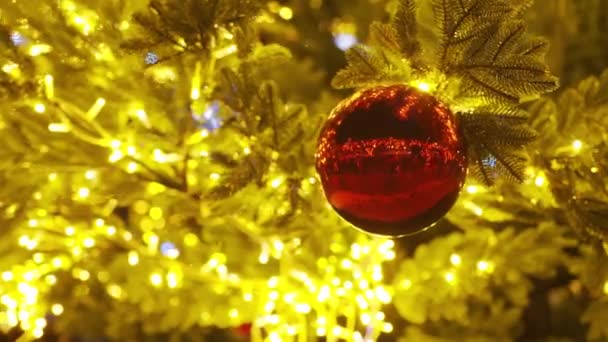 Noel ağacı dalları ve Noel ağacı süslemesi. — Stok video