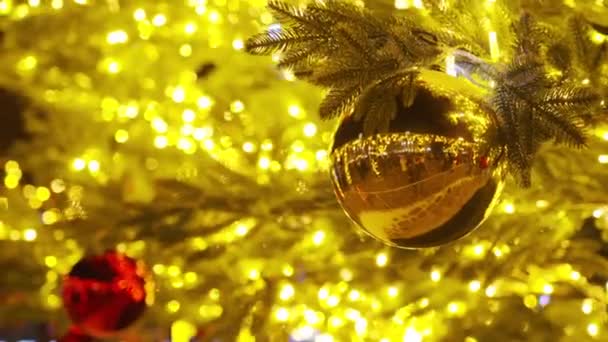 クリスマススプルースの枝とクリスマスツリーの装飾. — ストック動画