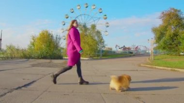 Sıcak güneşli bir günde sevimli köpeğiyle yürüyen sevimli genç kız, ağır çekimde..