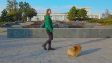 Sıcak güneşli bir günde sevimli köpeğiyle yürüyen sevimli genç kız, ağır çekimde..