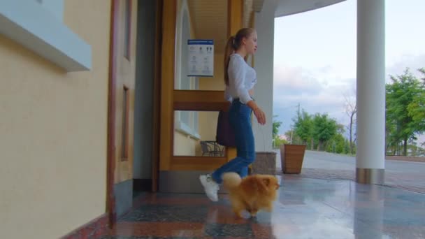 Schattig jong meisje wandelen met haar schattige hond shpitz in warme zonnige dag, slow-motion. — Stockvideo