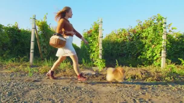 Gadis muda yang manis berjalan dengan anjing lucu shpitz di hari yang hangat cerah, gerak lambat. — Stok Video
