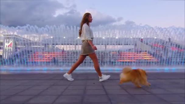เด็กสาวที่น่ารักเดินไปกับสุนัขน่ารักของเธอในวันที่อบอุ่นแดดเคลื่อนไหวช้า . — วีดีโอสต็อก