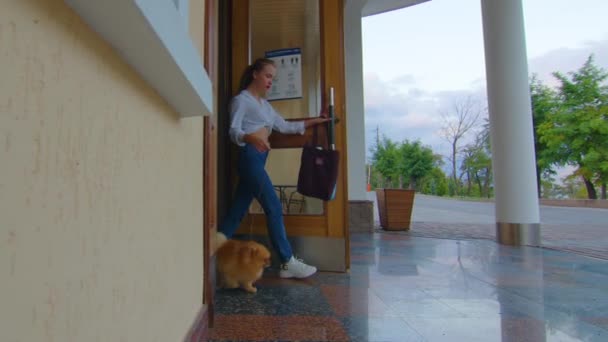 Adorable young girl walking with her cute dog in warm sunny day, slow-motion. — Stock Video