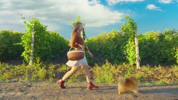 Kvinde gå med hund i parken. Sød lille hundehvalp. Videooptagelse af håndholdt karmbal. – Stock-video