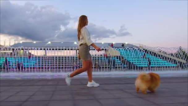 Ung flicka promenader med söt hund på en stadsgata. — Stockvideo