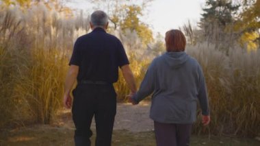 Parkta birlikte yürürken yaşlı bir çiftin el ele tutuşması. Romantik, son sınıf çifti dinleniyor, doğada dinleniyor. Mutluluk insanlar yaşam tarzı.