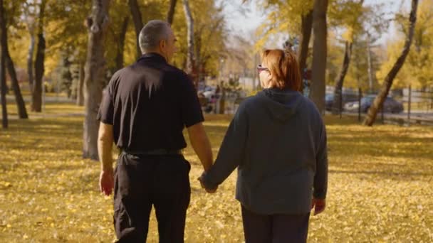 Visão traseira do casal de idosos de mãos dadas enquanto caminham juntos no parque. Visão traseira do par sênior romântico descansando, relaxando na natureza. Felicidade pessoas estilo de vida. — Vídeo de Stock