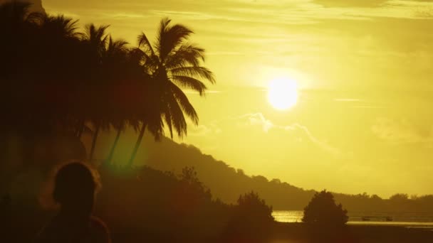 Silhouette di bambini al tramonto sullo sfondo di palme — Video Stock