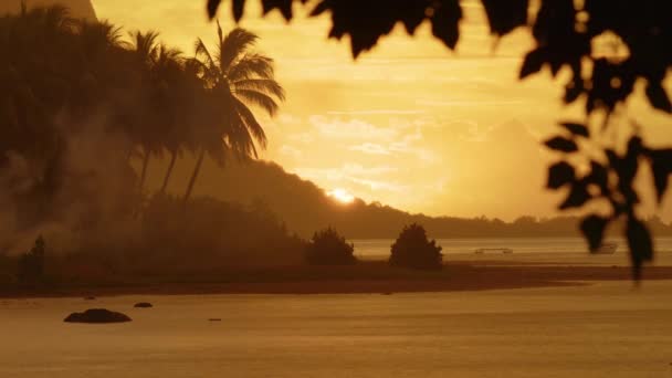 Puesta de sol en la playa de La Gaulette Mauricio — Vídeo de stock