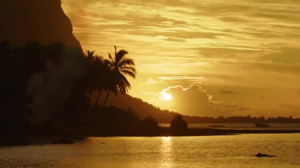 Lueur chaude de la vidéo du coucher du soleil le long de l'océan. Le meilleur coucher de soleil au monde. Coucher de soleil sur l'île fond de plage — Video