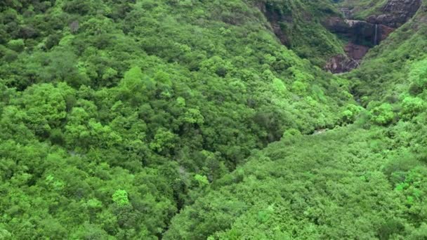 Vista aerea volare sopra lussureggiante foresta pluviale tropicale verde montagna la stagione delle piogge sul parco nazionale Mauritius — Video Stock