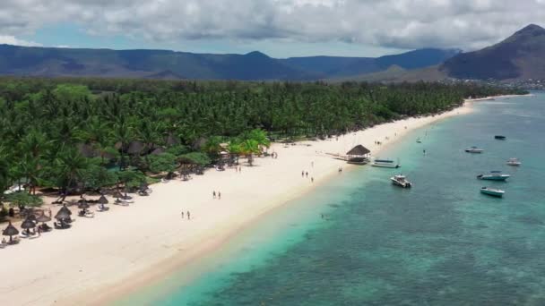 Aerial view Mauritius, low angle view with drone, people enjoying a sunny day on the shore with palm trees in the background — Stock videók