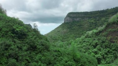 Yemyeşil tropikal yağmur ormanları üzerinde uçan hava manzarası ulusal park Mauritius 'ta yağışlı mevsim