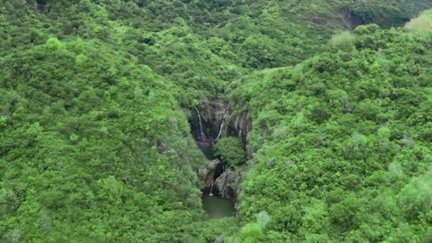Aerial view of the gorge-Mauritius near the river gorge National Park — Stock Video