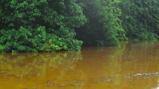 Dagelijkse video Na de regen. Geel, vuil water uit een kanaal in de stad daalt naar de oceaan. Afvoeren van water en voorkomen van overstromingen in de stad in overstromingsconcept — Stockvideo