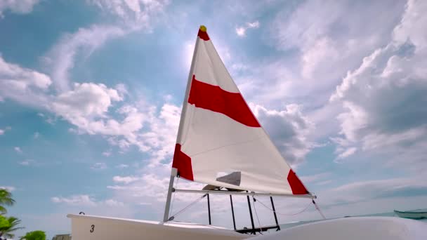 Sailing in the wind. Full sails, very strong wind. Ocean race, real adventure. Storm day. Sun sails and adventure — Stock videók