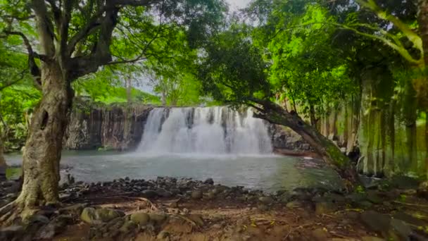 Beautiful waterfall of a national park in Mauritius — Stockvideo