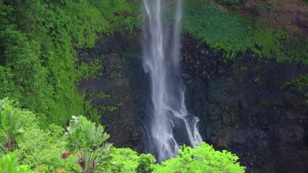 Splendida cascata, Mauritius. Video al rallentatore. Fotocamera fluente con piante tropicali in primo piano. Viaggio natura bellezza concetto — Video Stock