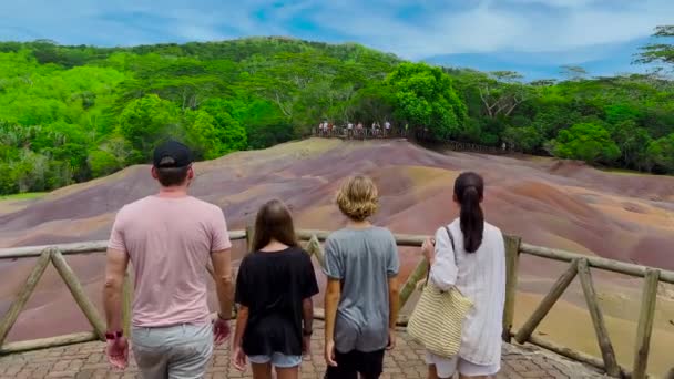 Familia feliz. Niños con padres en el parque. Paseo de verano en el parque. Niño de la mano de los padres. concepto de familia feliz. Familia libre en el parque — Vídeo de stock