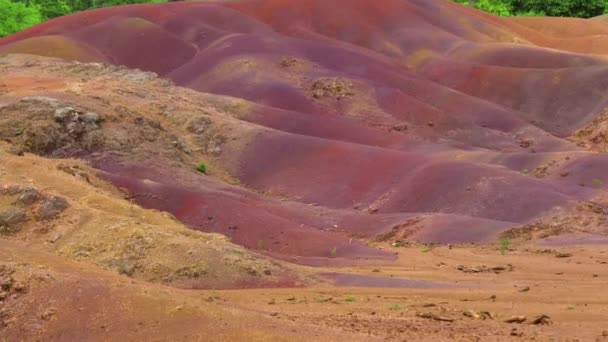 La familia admira el famoso lugar. Siete tierras de colores. Una formación en la naturaleza que se ha convertido en una gran atracción turística en la isla Mauricio — Vídeo de stock