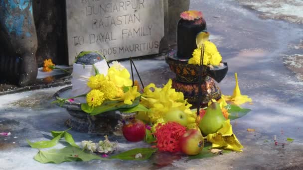 Close up of rituals and worship of the gods. Indian culture — Stock Video