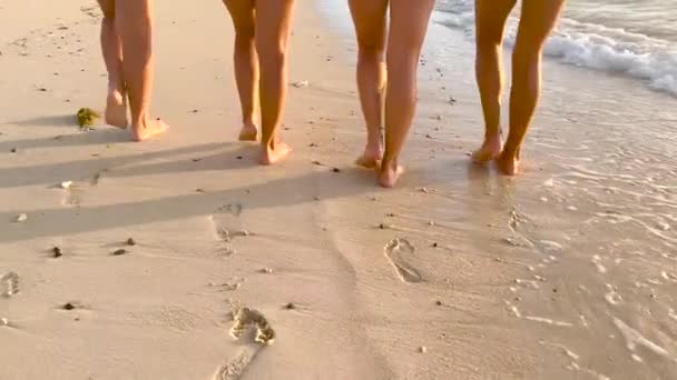 Cztery dziewczyny spacerujące po plaży w zwolnionym tempie, szczęśliwe dziewczyny na wakacjach na plaży — Wideo stockowe