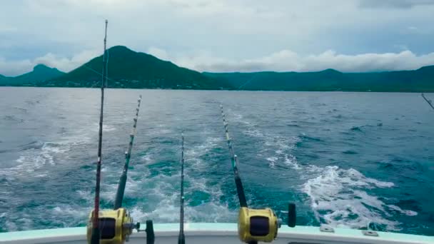 Big game fishing reel in natural setting — Stock Video