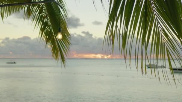 Romantyczny ślub na plaży o zachodzie słońca — Wideo stockowe