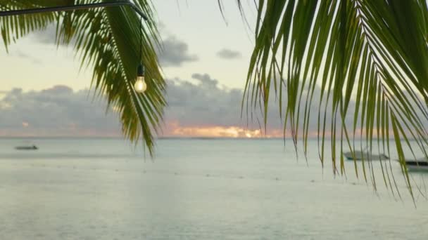 Matrimonio romantico allestimento in spiaggia al tramonto — Video Stock