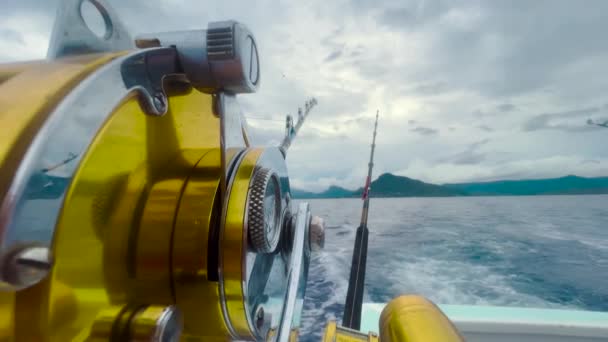 Big game fishing reel in natural setting — Stock Video