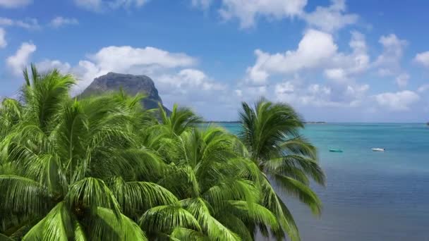Tropisch strand in Mauritius. Strand met palmbomen en blauwe transparante oceaan. Luchtzicht — Stockvideo