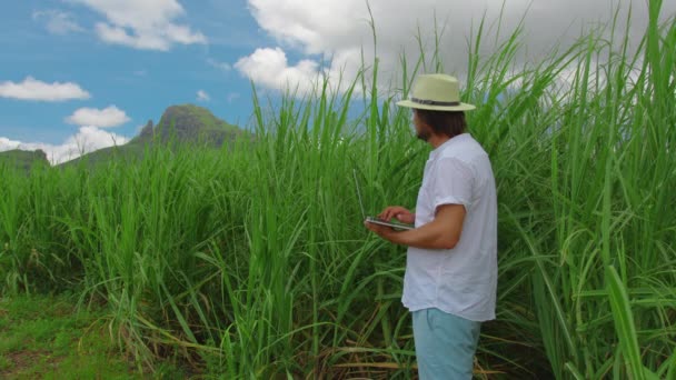 Agrônomo agricultor com laptop no campo de cultivo de cana, homem confiante sério usando a tecnologia moderna na produção agrícola — Vídeo de Stock