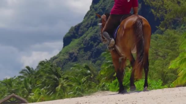 Tropikalna plaża na Mauritiusie. Ludzie jeżdżący konno po plaży. Filmik o zwolnionym tempie. Sport i koncepcje podróży. Mężczyzna jeździ konno po plaży. — Wideo stockowe
