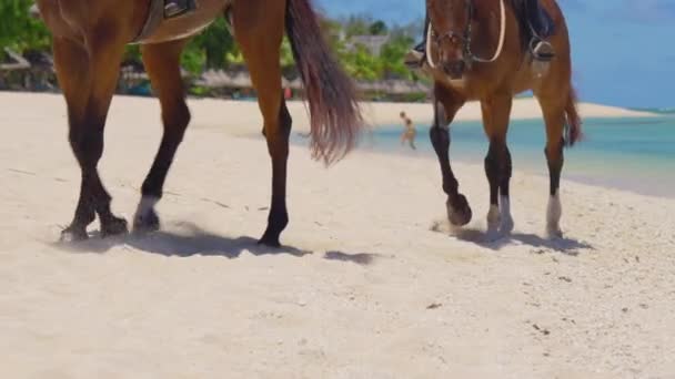 Tropikalna plaża na Mauritiusie. Ludzie jeżdżący konno po plaży. Filmik o zwolnionym tempie. Sport i koncepcje podróży. Mężczyzna jeździ konno po plaży. — Wideo stockowe