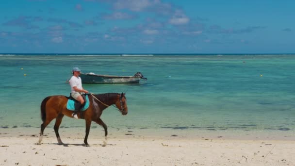 男人骑马在海滩上。慢动作视频。体育和旅行概念 — 图库视频影像