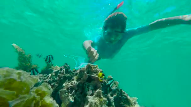 Um rapaz com uma máscara subaquática limpa o fundo do mar da poluição. O conceito de conservação da natureza. — Vídeo de Stock