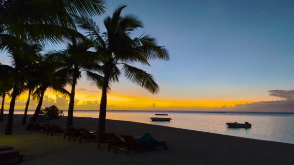 Prachtige zonsondergang boven zee of oceaan met palmbomen, dramatische lucht en kleurrijke wolken — Stockvideo