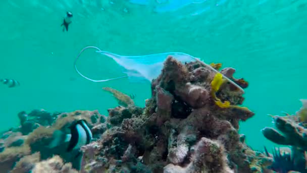 Maschera viso utilizzato si trova sul fondo del mare. Coronavirus COVID-19 contribuisce all'inquinamento, in quanto le maschere usate scartate ingombrano mari e oceani inquinanti insieme ai rifiuti di plastica — Video Stock