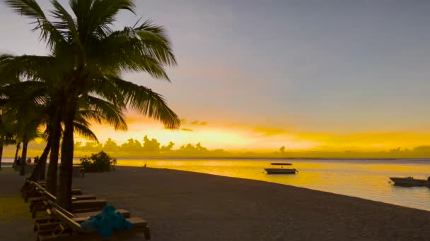 Okyanus ya da deniz üzerinde gün batımı. Palmiye ağaçları, çarpıcı gökyüzü ve renkli bulutlar. — Stok video
