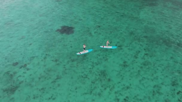 Surfaři pár na surfování palubě, muž a žena plavci relaxaci na modré surfy horní pohled. Profesionální bezpilotní střelba lidí na sup boardech v Indickém oceánu. Mauricius — Stock video