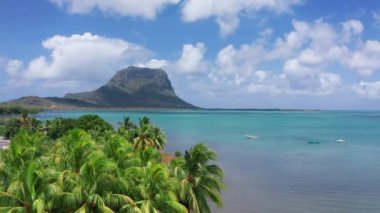 Mauritius 'ta tropik bir sahil. Palmiye ağaçları ve mavi şeffaf okyanusla dolu bir sahil. Hava görünümü